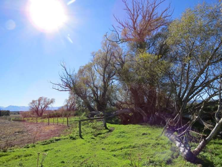 142 Nixons Road Fairlie_18