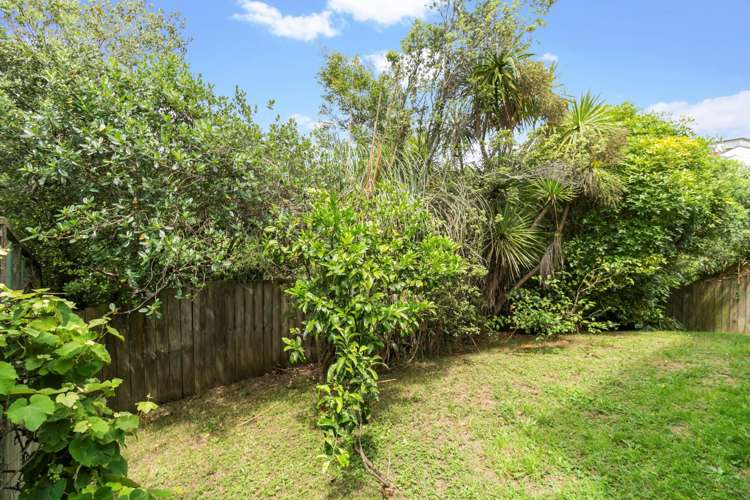 37A Hendry Avenue Hillsborough_16