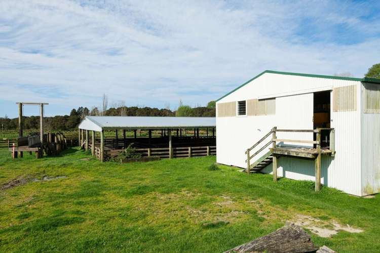 481 Whakaangiangi Road Ruatoria_12