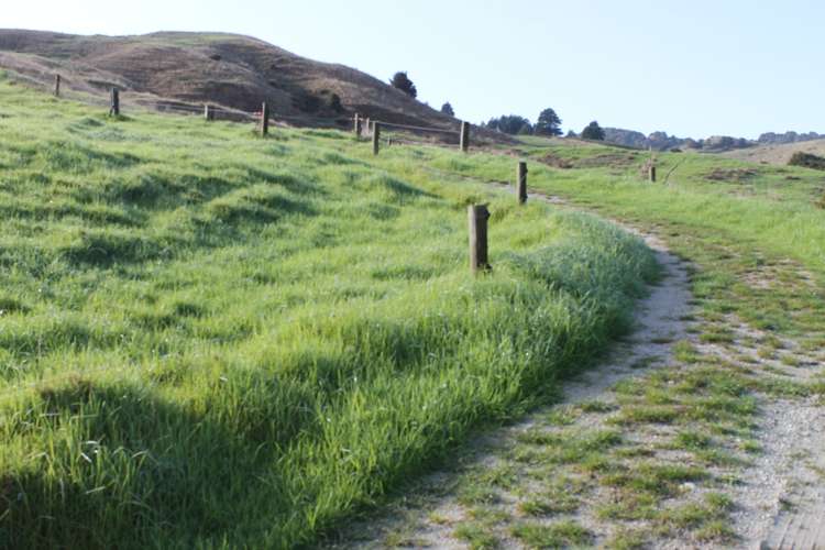 1311 State Highway 12 Maungaturoto_16