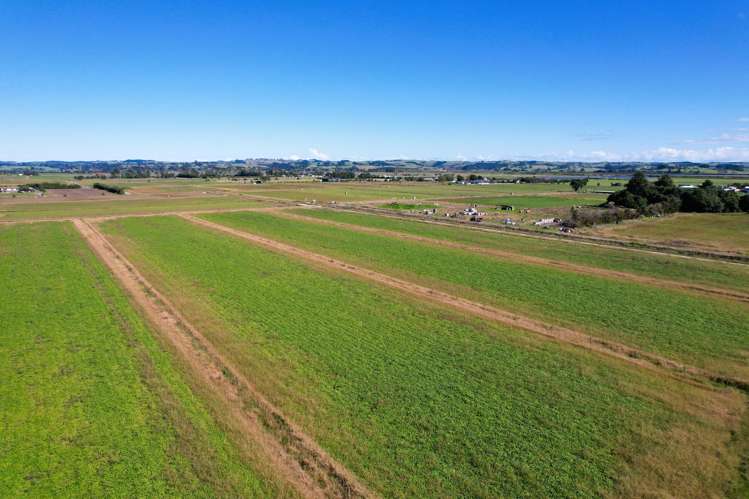 Tramline Road Ruawai_14