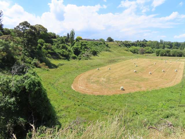 85 Barraud Street Dannevirke_3