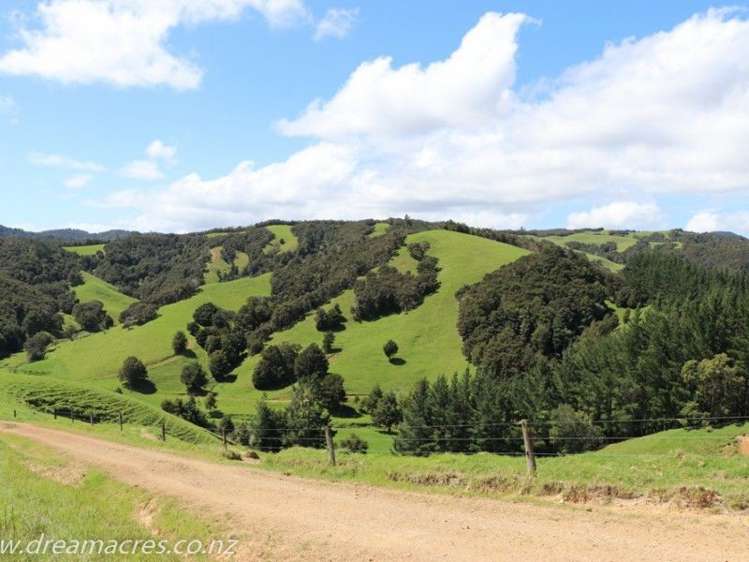 242 Owae Road Russell Surrounds_26