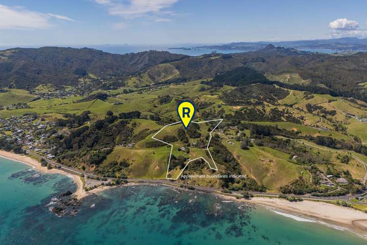 . Sh25 Te Rerenga-Kuaotunu Road Kuaotunu_0