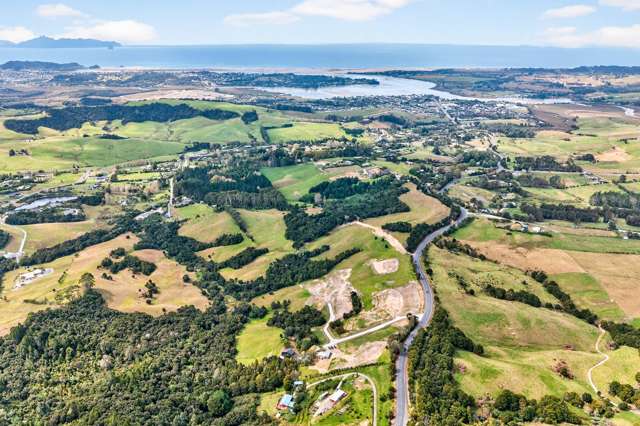 Mangawhai Bush Estate Mangawhai_1