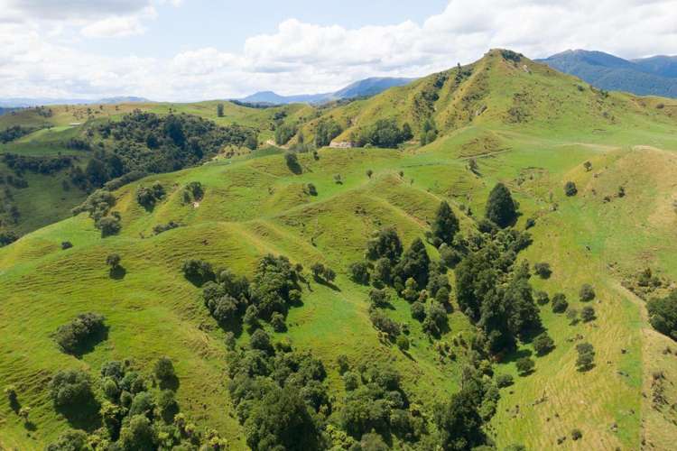 131 Rangitane Road Mangaweka_14