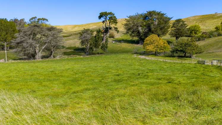 2, 127 Ongaonga Road Waipawa_5