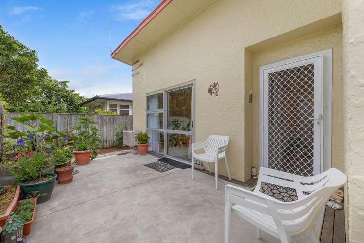 97 Howick Road Redwoodtown_8
