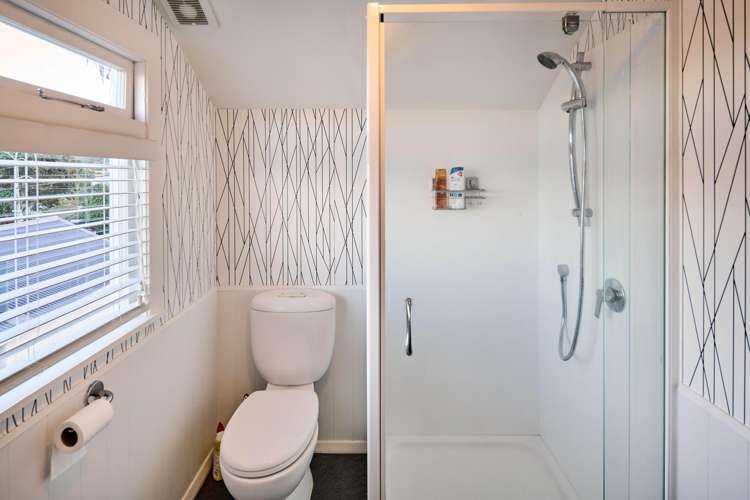 67 Waipapa Road Hataitai_19
