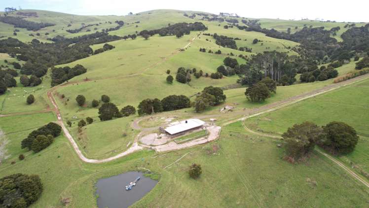 4283 State Highway 12 Dargaville Surrounds_10