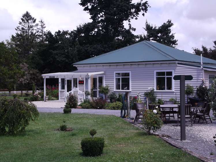 44 Ward Street Cheviot_6