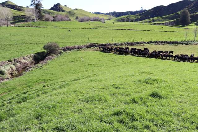 TARATA GRAZING OPPORTUNITY