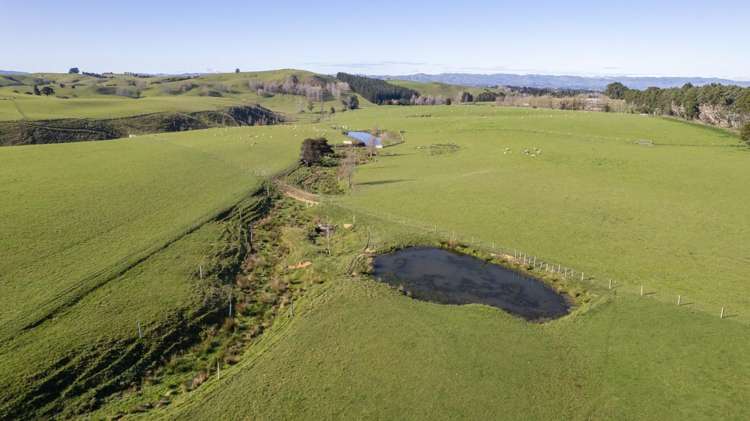 Burnetts Road Masterton_7