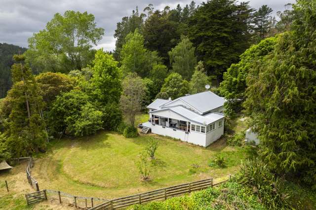 Charming country escape - 2481 Tiniroto Road