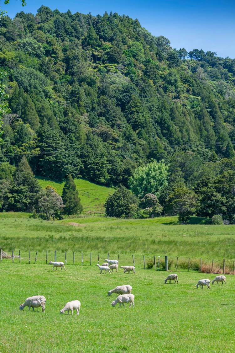 299 Haruru Road Kaukapakapa_6