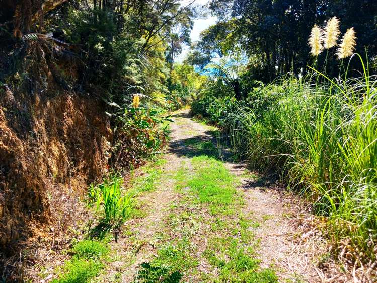 Te Karoa Road Peria_13