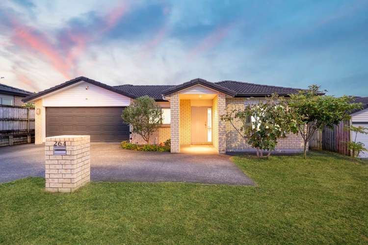 264 Murphys Road Flat Bush_19