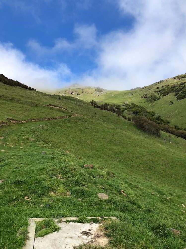 4990 Christchurch Akaroa Road Little River_4