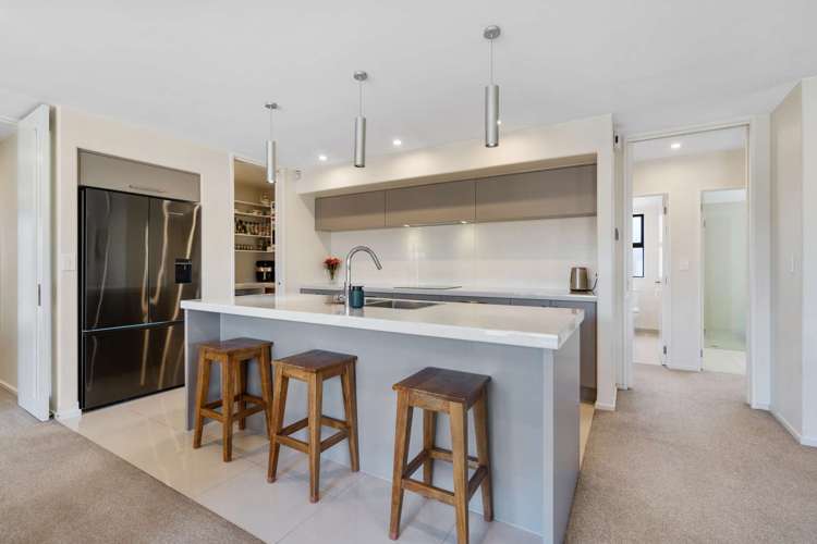 21 Blue Jean Avenue Rolleston_2