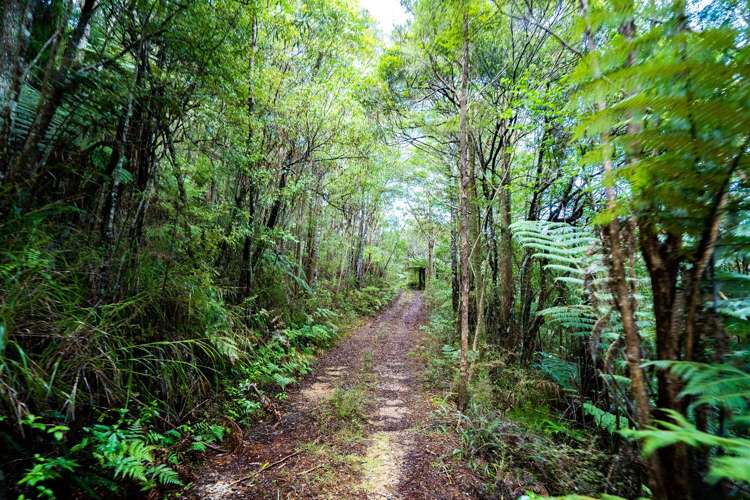 1458 Ngunguru Road Ngunguru_17