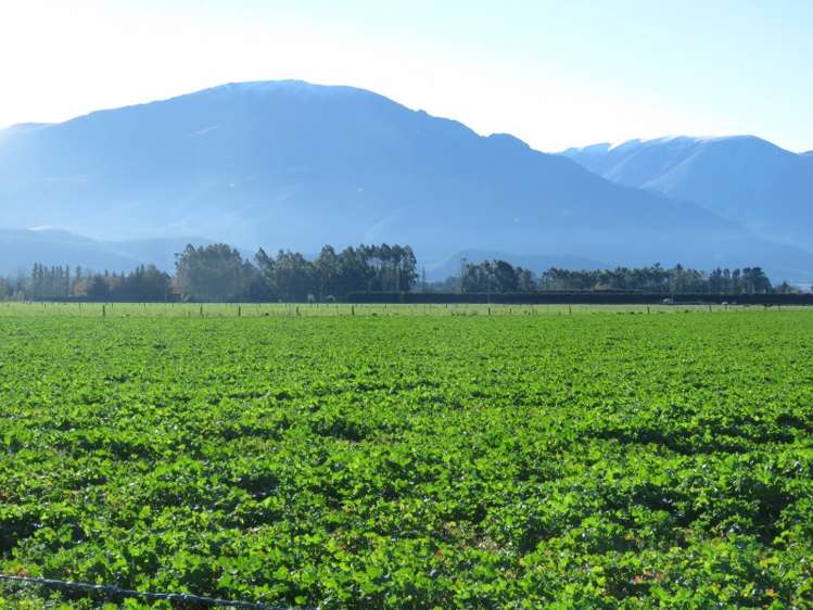 893 Tramway Road Mount Somers_12