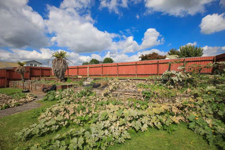 331 Factory Road Te Awamutu_12