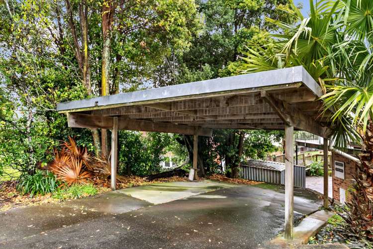 1c Hobday Place Meadowbank_7