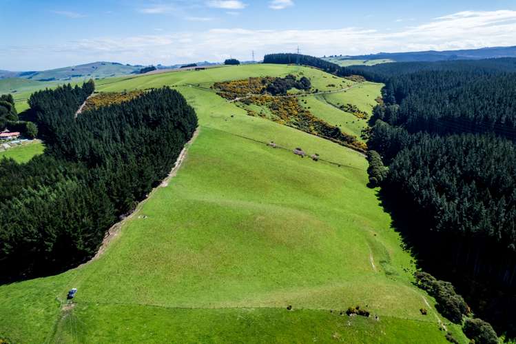 Waihola Hill Road Milton_12