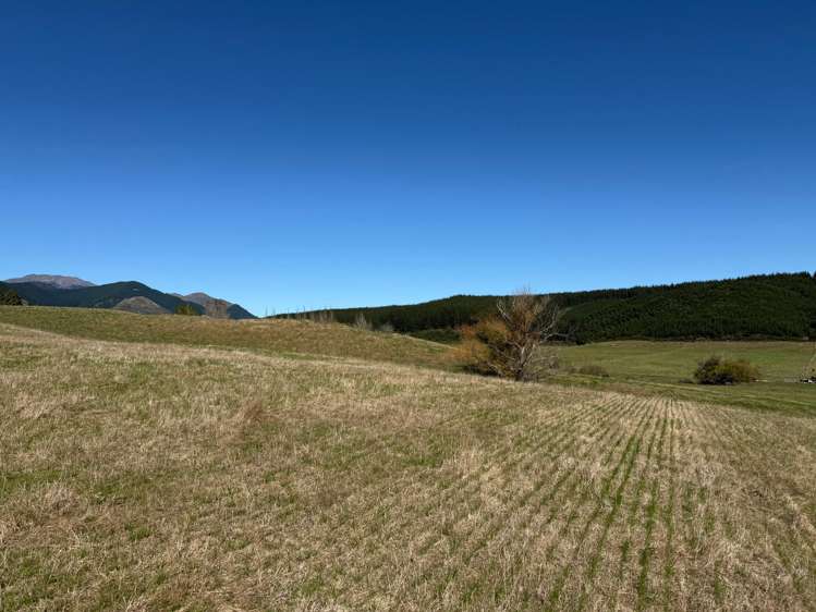 Quail Valley Road_4