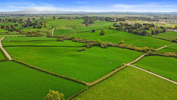 632a Peacockes Road Peacocke_22