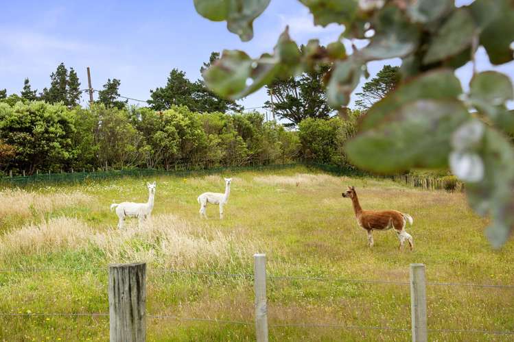 381 Horokiwi Rd Horokiwi_33