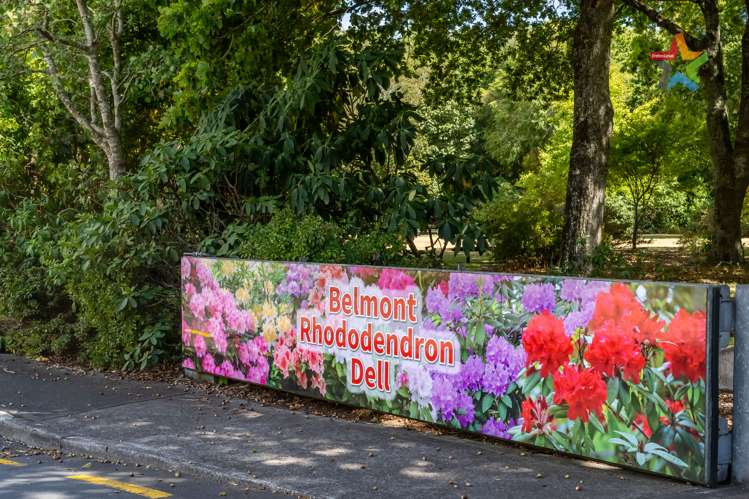 13 Owen Street Belmont_23