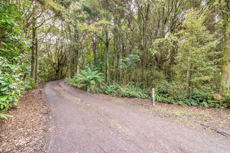41 Bryson Road Otatara_25
