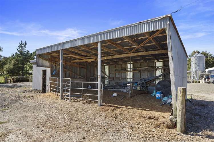 57 Hall Road Hikuai_19