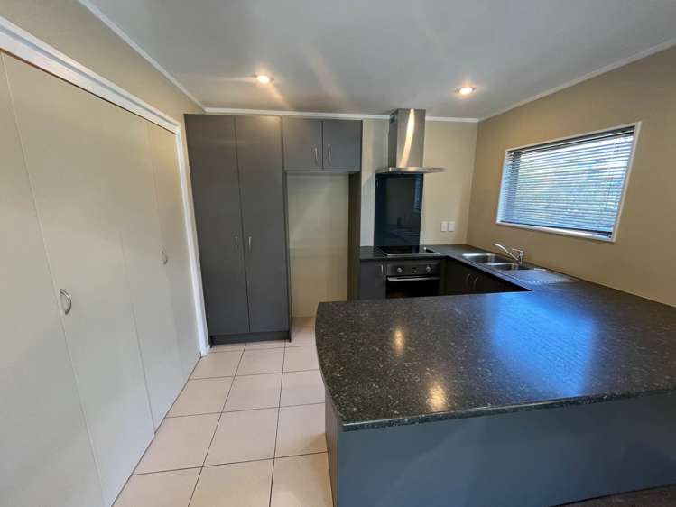 164 Hutchinson Avenue New Lynn_2