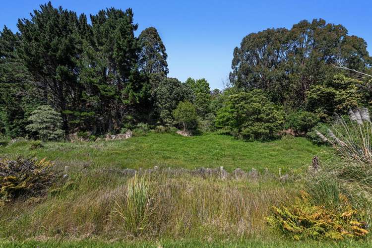 93 Loop Road Ohiwa_17