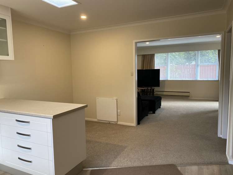 36 Seventeenth Avenue Tauranga South_7