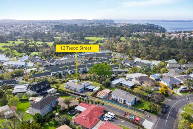 12 Taupo Street Green Bay_3