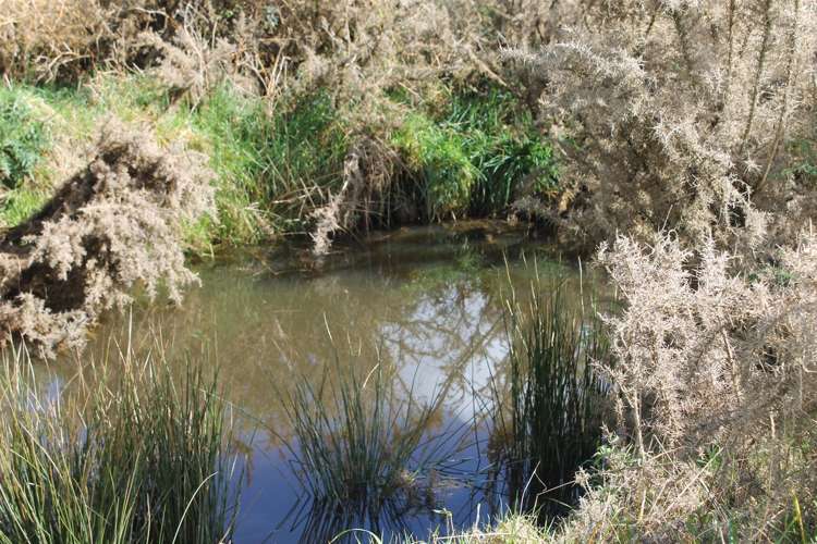 6041 State Highway 12 Ohaeawai_1