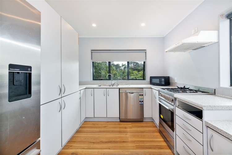 61 Palomino Drive Henderson_13