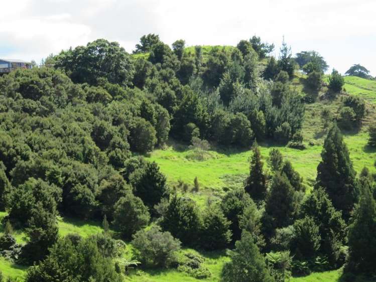 239 Taratara Road Kaeo_23