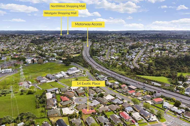 14 Exotic Place Massey_20