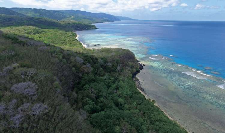 Matana Plantation Koro Island_6