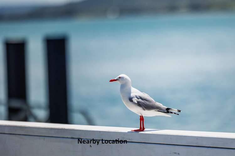 Pt Waiwhatawhata 1A3 State Highway 12 Omapere_7