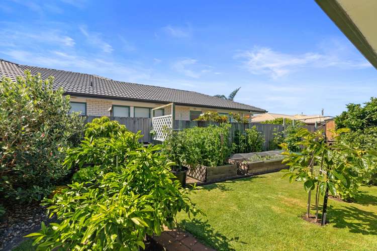 59b Plateau Heights Mount Maunganui_16