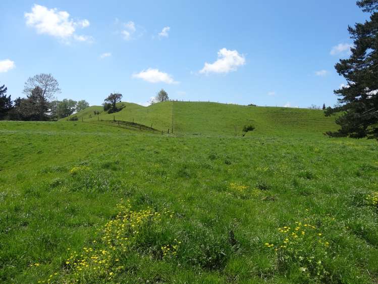 357 State Highway 5 Tapapa_15