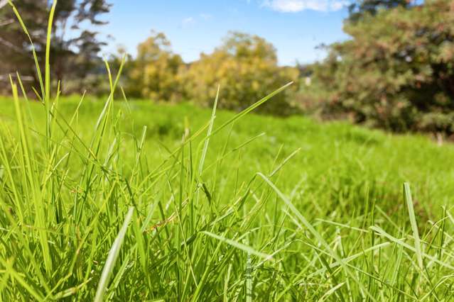 91c Looney Road Opotiki and Surrounds_2
