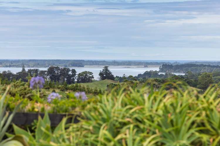 286 Youngson Road Whakamarama_23