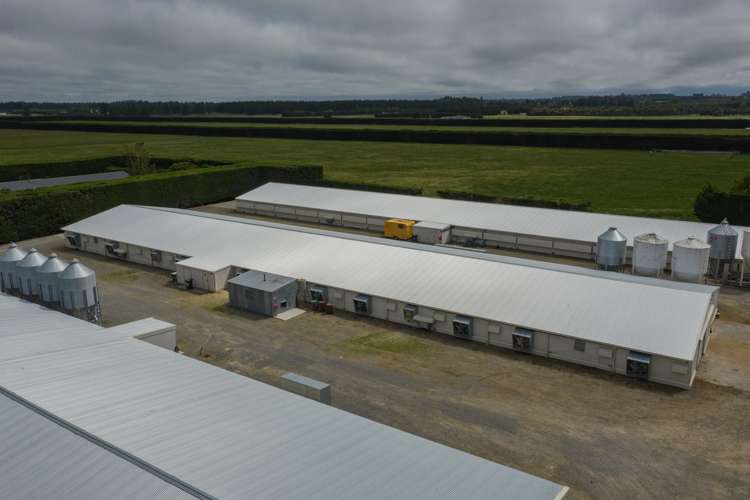 273 Lilly Road Fernside_7