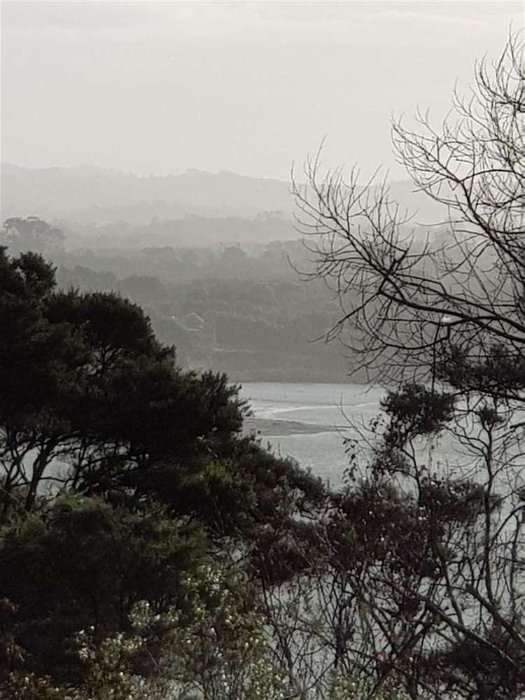 17 Chatham Avenue Paremoremo_31